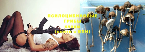 гидра Алзамай