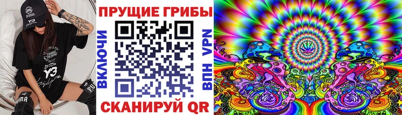 где купить   Лихославль  Псилоцибиновые грибы Cubensis 